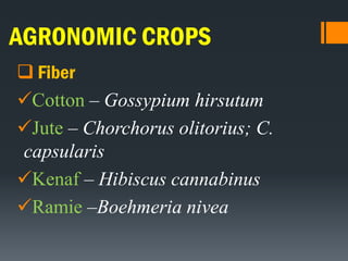 AGRONOMIC CROPS
 Fiber
Cotton – Gossypium hirsutum
Jute – Chorchorus olitorius; C.
capsularis
Kenaf – Hibiscus cannabinus
Ramie –Boehmeria nivea
 