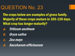 QUESTION No. 23
The crops below are examples of grass family.
Majority of these crops mature in 105-120 days.
What crop has longer maturity?
a. Triticum aestivum
b. Oryza sativa
c. Zea mays
d. Saccharum officinarum
 