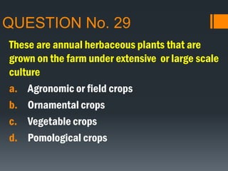 QUESTION No. 29
These are annual herbaceous plants that are
grown on the farm under extensive or large scale
culture
a. Agronomic or field crops
b. Ornamental crops
c. Vegetable crops
d. Pomological crops
 