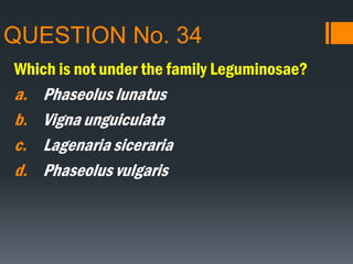 QUESTION No. 34
Which is not under the family Leguminosae?
a. Phaseolus lunatus
b. Vigna unguiculata
c. Lagenaria siceraria
d. Phaseolus vulgaris
 
