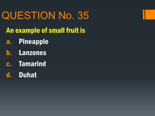QUESTION No. 35
An example of small fruit is
a. Pineapple
b. Lanzones
c. Tamarind
d. Duhat
 