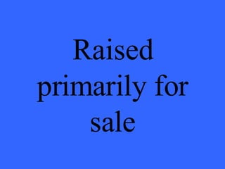 Raised primarily for sale 