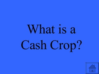What is a Cash Crop? 
