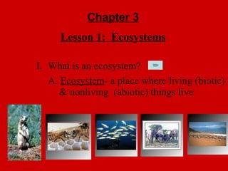Chapter 3 Lesson 1:  Ecosystems ,[object Object],[object Object]