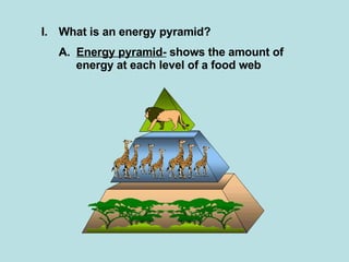 What is an energy pyramid? A.  Energy pyramid-  shows the amount of energy at each level of a food web 