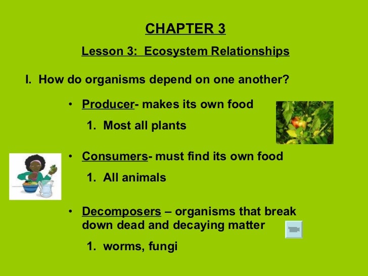 what are the different types of relationships found among organisms in an ecosystem what are the different types of relationships found among organisms in an ecosystem