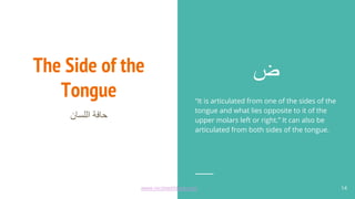 The Side of the
Tongue
‫اﻟﻠﺳﺎن‬ ‫ﺣﺎﻓﺔ‬
‫ض‬
“It is articulated from one of the sides of the
tongue and what lies opposite to it of the
upper molars left or right.” It can also be
articulated from both sides of the tongue.
14
www.recitewithlove.com 14
 