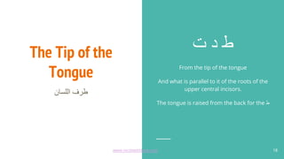 The Tip of the
Tongue
‫اﻟﻠﺳﺎن‬ ‫طرف‬
‫ت‬ ‫د‬ ‫ط‬
From the tip of the tongue
And what is parallel to it of the roots of the
upper central incisors.
The tongue is raised from the back for the ‫ط‬
18
www.recitewithlove.com 18
 