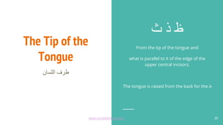 The Tip of the
Tongue
‫اﻟﻠﺳﺎن‬ ‫طرف‬
‫ث‬ ‫ذ‬ ‫ظ‬
From the tip of the tongue and
what is parallel to it of the edge of the
upper central incisors.
The tongue is raised from the back for the ‫ظ‬
20
www.recitewithlove.com 20
 