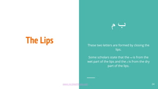 The Lips
‫م‬ ‫ب‬
These two letters are formed by closing the
lips.
Some scholars state that the ‫ب‬ is from the
wet part of the lips and the ‫م‬ is from the dry
part of the lips.
24
www.recitewithlove.com 24
 