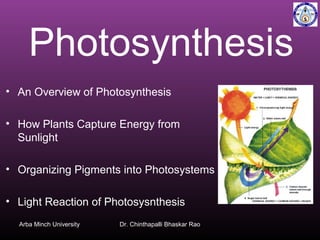 Photosynthesis
• An Overview of Photosynthesis
• How Plants Capture Energy from
Sunlight
• Organizing Pigments into Photosystems
• Light Reaction of Photosysnthesis
Arba Minch University

Dr. Chinthapalli Bhaskar Rao

 