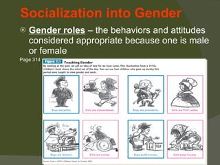 Chapter 3 Socialization | PPT