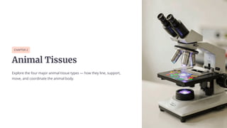 CHAPTER 2
Animal Tissues
Explore the four major animal tissue types 4 how they line, support,
move, and coordinate the animal body.
 