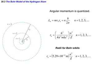 30.3  The Bohr Model of the Hydrogen Atom Radii for Bohr orbits Angular momentum is quantized. 