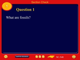 Chapter 3:1 Fossils