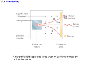 31.4  Radioactivity A magnetic field separates three types of particles emitted by radioactive nuclei. 