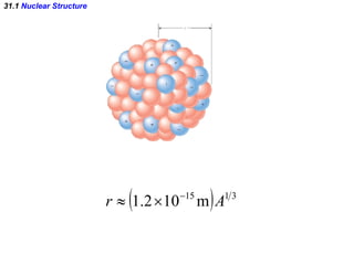 31.1  Nuclear Structure 