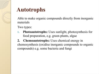 Chapter-3,Biology-classification.pptx bio | PPTX