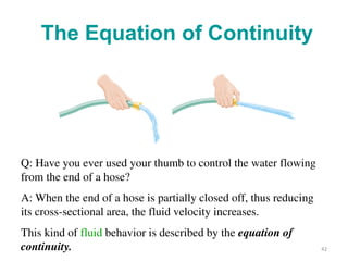 The Equation of Continuity
Q: Have you ever used your thumb to control the water flowing
from the end of a hose?
A: When the end of a hose is partially closed off, thus reducing
its cross-sectional area, the fluid velocity increases.
This kind of fluid behavior is described by the equation of
continuity. 42
 
