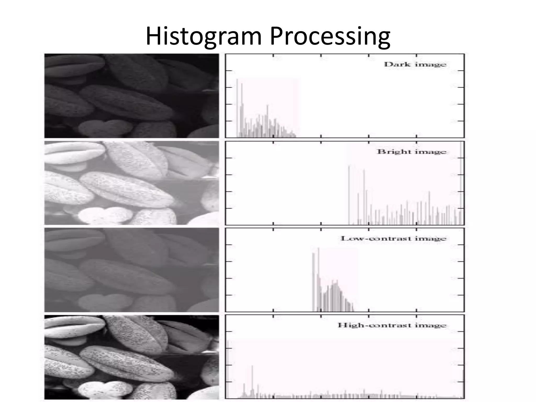 Histogram Processing
 