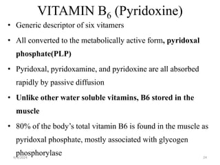 VITAMIN B6 (Pyridoxine)
• Generic descriptor of six vitamers
• All converted to the metabolically active form, pyridoxal
phosphate(PLP)
• Pyridoxal, pyridoxamine, and pyridoxine are all absorbed
rapidly by passive diffusion
• Unlike other water soluble vitamins, B6 stored in the
muscle
• 80% of the body’s total vitamin B6 is found in the muscle as
pyridoxal phosphate, mostly associated with glycogen
phosphorylase 24
4/9/2024
 