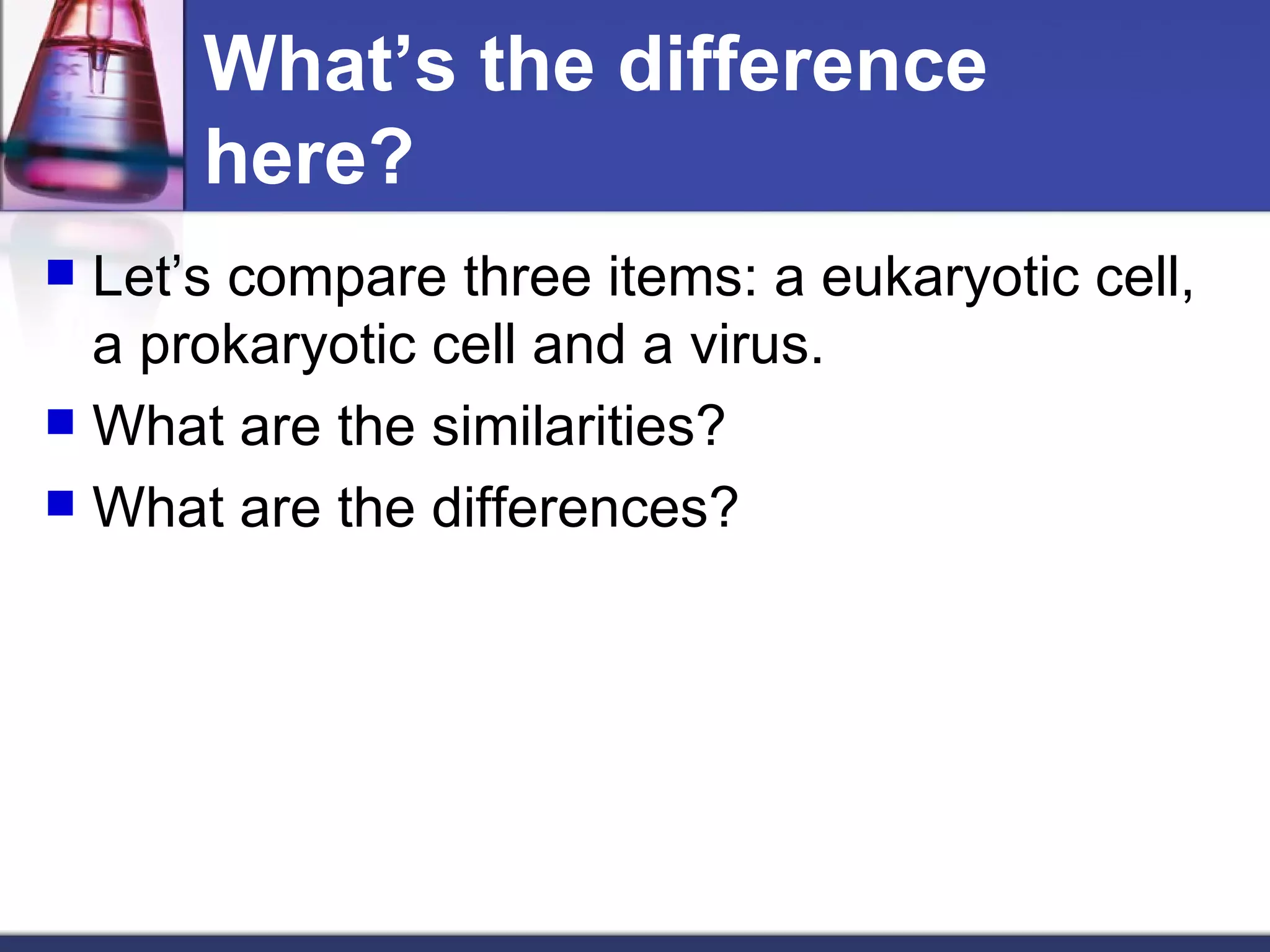 What’s the difference here? Let’s compare three items: a eukaryotic cell, a prokaryotic cell and a virus. What are the similarities? What are the differences? 