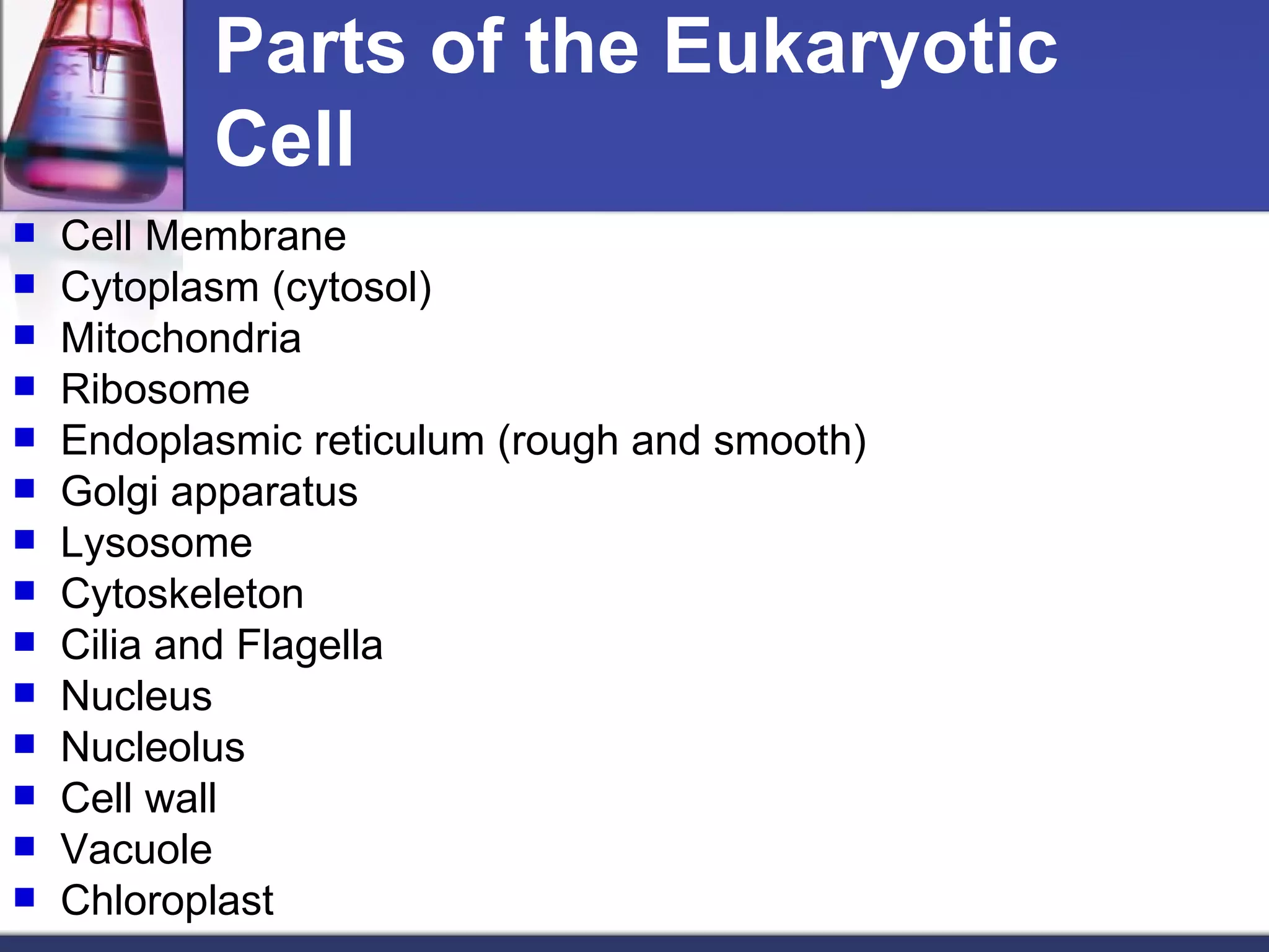 Parts of the Eukaryotic Cell Cell Membrane Cytoplasm (cytosol) Mitochondria Ribosome Endoplasmic reticulum (rough and smooth) Golgi apparatus Lysosome Cytoskeleton Cilia and Flagella Nucleus Nucleolus Cell wall Vacuole Chloroplast 
