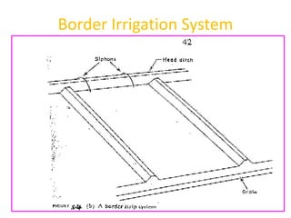 Border Irrigation System
 