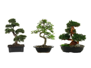 UE. DR. ALLAN C. ORATE
 