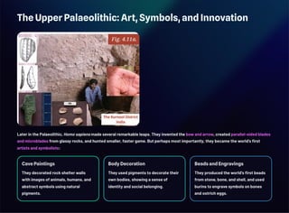The Upper Palaeolithic: Art, Symbols, and Innovation
Later in the Palaeolithic, Homo sapiens made several remarkable leaps. They invented the bow and arrow, created parallel-sided blades
and microblades from glassy rocks, and hunted smaller, faster game. But perhaps most importantly, they became the world's first
artists and symbolists:
Cave Paintings
They decorated rock shelter walls
with images of animals, humans, and
abstract symbols using natural
pigments.
Body Decoration
They used pigments to decorate their
own bodies, showing a sense of
identity and social belonging.
Beads and Engravings
They produced the world's first beads
from stone, bone, and shell, and used
burins to engrave symbols on bones
and ostrich eggs.
 
