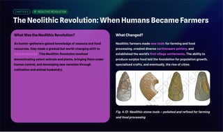 CHAPTER 2 NEOLITHIC REVOLUTION
The Neolithic Revolution: When Humans Became Farmers
What Was the Neolithic Revolution?
As hunter-gatherers gained knowledge of seasons and food
resources, they made a gradual but world-changing shift to
food production. This Neolithic Revolution involved
domesticating select animals and plants, bringing them under
human control, and developing new varieties through
cultivation and animal husbandry.
What Changed?
Neolithic farmers made new tools for farming and food
processing, created diverse earthenware pottery, and
established the world's first village settlements. The ability to
produce surplus food laid the foundation for population growth,
specialised crafts, and eventually, the rise of cities.
Fig. 4.13: Neolithic stone tools — polished and refined for farming
and food processing
 