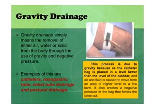 Forces and Newton\'s Laws