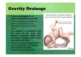 Forces and Newton\'s Laws