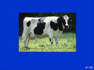 Question Number One B B 100 