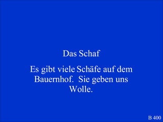 Das Schaf Es gibt viele Sch äfe auf dem Bauernhof.  Sie geben uns Wolle. B 400 