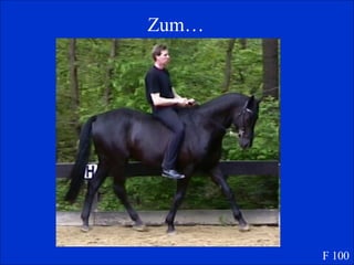 Zum… F 100 