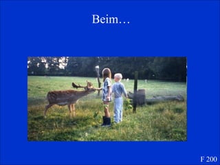 Beim… F 200 