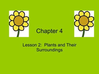 Chapter 4 Lesson 2:  Plants and Their Surroundings 