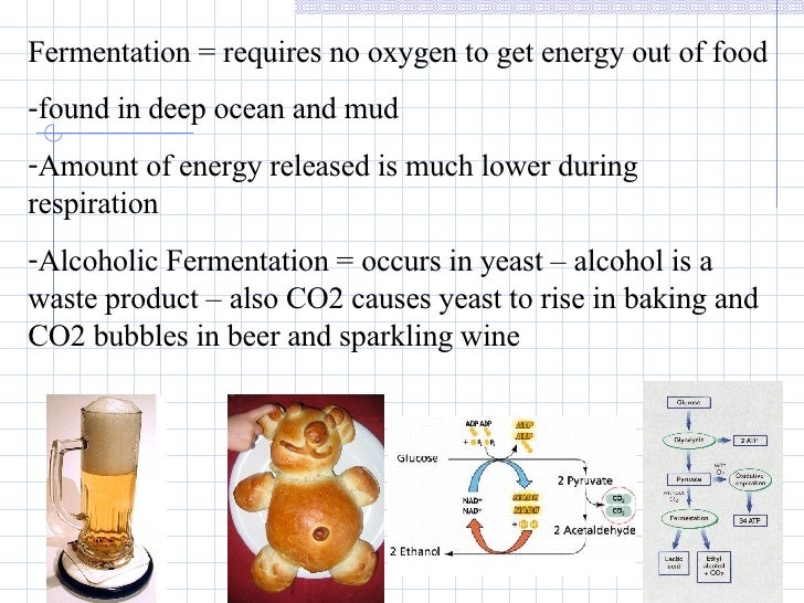 Breaking Down Food To Get Energy Requires Breaking Down Food To Get Energy Requires