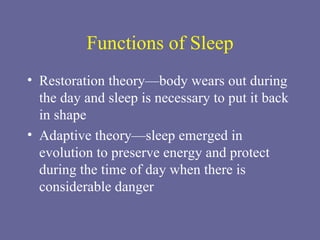 Functions of Sleep Restoration theory—body wears out during the day and sleep is necessary to put it back in shape Adaptive theory—sleep emerged in evolution to preserve energy and protect during the time of day when there is considerable danger 