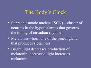 The Body’s Clock Suprachiasmatic nucleus (SCN)—cluster of neurons in the hypothalamus that governs the timing of circadian rhythms Melatonin—hormone of the pineal gland that produces sleepiness Bright light decreases production of melatonin; decreased light increases melatonin 