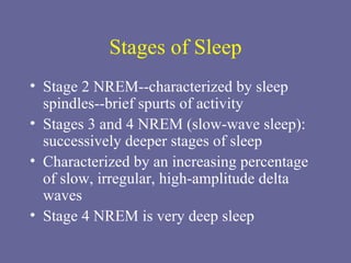 Stages of Sleep Stage 2 NREM--characterized by sleep spindles--brief spurts of activity Stages 3 and 4 NREM (slow-wave sleep): successively deeper stages of sleep Characterized by an increasing percentage  of slow, irregular, high-amplitude delta waves  Stage 4 NREM is very deep sleep 