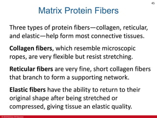 CHAPTER-4-TISSUES.pdf