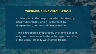 - It is located in the deep zone which is driven by
density differences, which is controlled by
temperature (thermo) and salinity (haline).
- This circulation is propelled by the sinking of cold,
salty, and dense water in the polar region, and rising
of the warm, less salty water of the tropics.
THERMOHALINE CIRCULATION
 