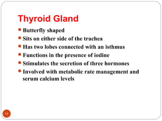 Thyroid Gland
Butterfly shaped
Sits on either side of the trachea
Has two lobes connected with an isthmus
Functions in the presence of iodine
Stimulates the secretion of three hormones
Involved with metabolic rate management and
serum calcium levels
11
 