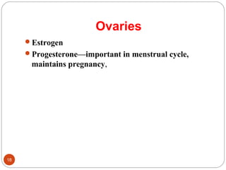 Ovaries
Estrogen
Progesterone—important in menstrual cycle,
maintains pregnancy,
18
 