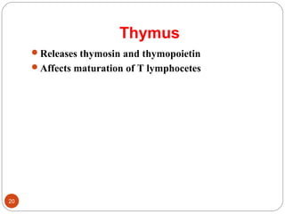 Thymus
Releases thymosin and thymopoietin
Affects maturation of T lymphocetes
20
 