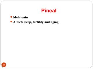 Pineal
Melatonin
Affects sleep, fertility and aging
21
 