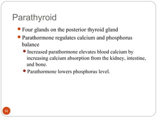 Parathyroid
Four glands on the posterior thyroid gland
Parathormone regulates calcium and phosphorus
balance
Increased parathormone elevates blood calcium by
increasing calcium absorption from the kidney, intestine,
and bone.
Parathormone lowers phosphorus level.
52
 