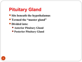 Pituitary Gland
Sits beneath the hypothalamus
Termed the “master gland”
Divided into:
Anterior Pituitary Gland
Posterior Pituitary Gland
6
 